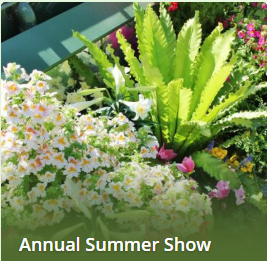 Days Inn Niagara Falls Lundy's Lane - Fallsview Hotel - Upcoming Events - Annual Summer Show Days Inn Niagara Falls Lundy's Lane - Fallsview Hotel - Upcoming Events - Annual Summer Show
