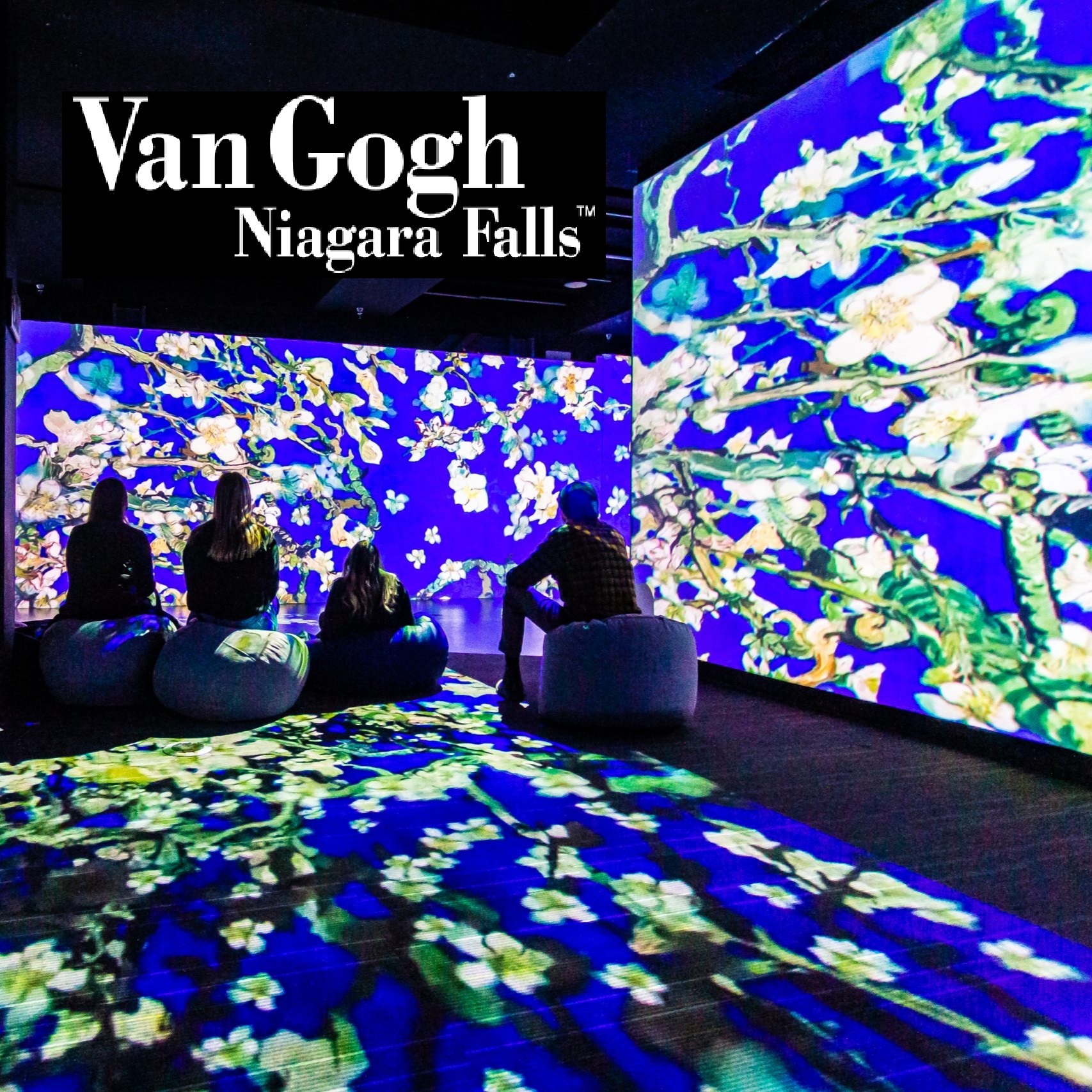 Van Gogh Niagara Falls